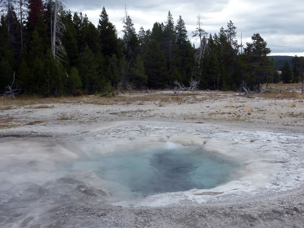 Yellowstone Old faithfull et ses environs (122).JPG
